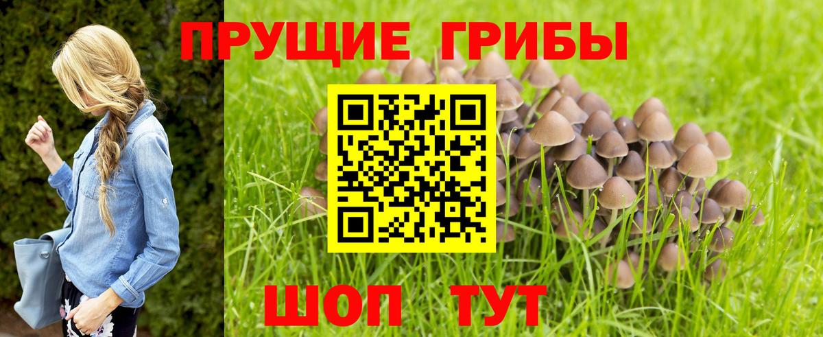 цена наркотик  Галлюциногенные грибы мицелий  Вход с VPN  Еманжелинск 